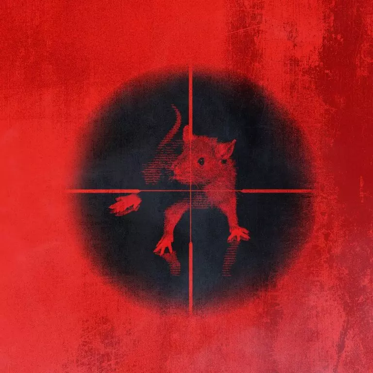 Kodak Black – Killing The Rats