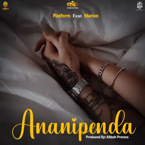Platform ft. Marioo – Ananipenda