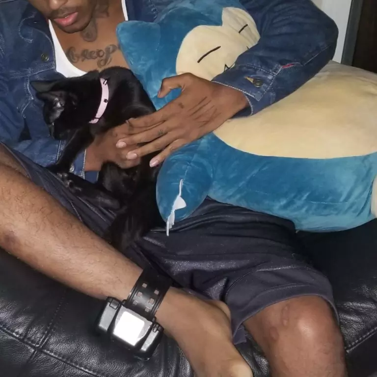 XXXTentacion – #ProudCatOwner #IHateRappers #IEatPussy