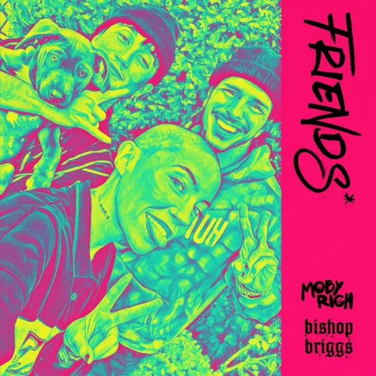 Bishop Briggs ft. Moby Rich – Friends