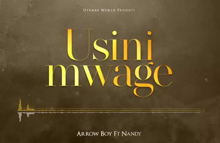 Arrow Bwoy ft. Nandy – Usinimwage
