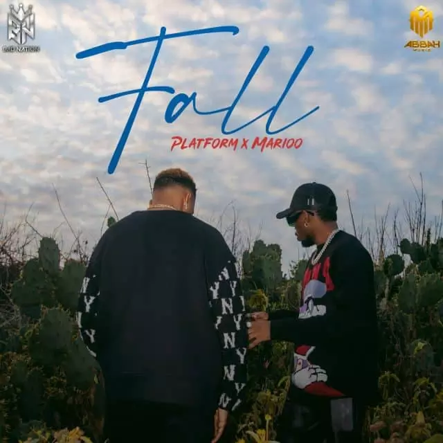 Platform Tz ft. Marioo – Fall