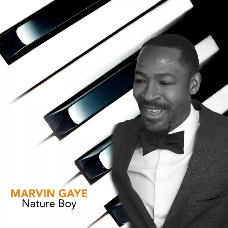 Marvin Gaye – Nature Boy