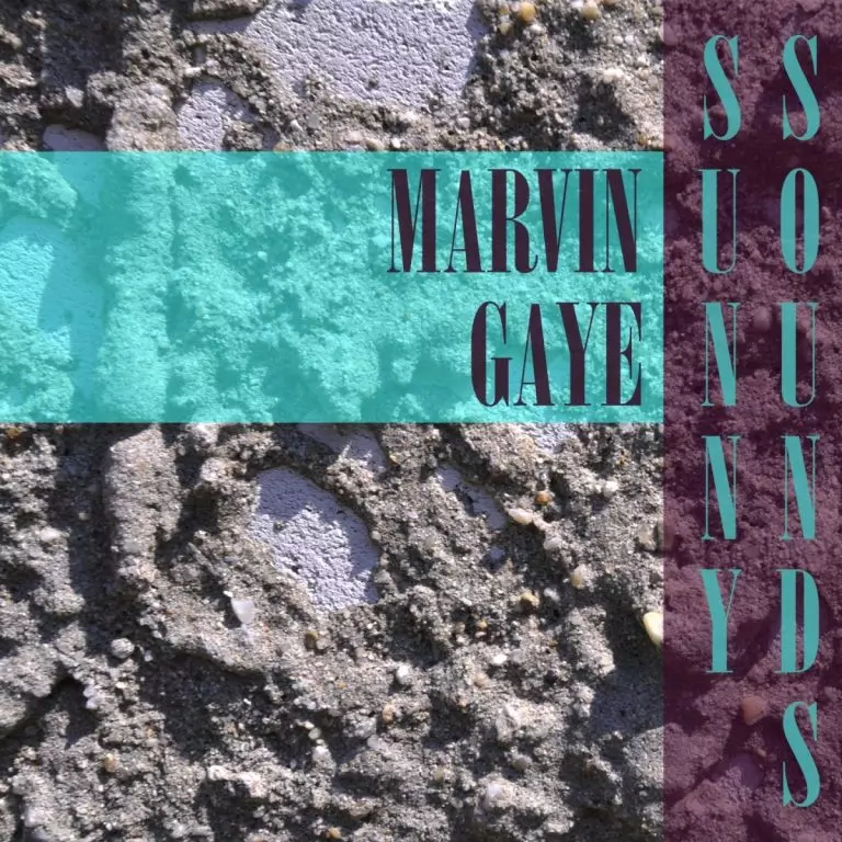 Marvin Gaye – Wherever I Lay My Hat