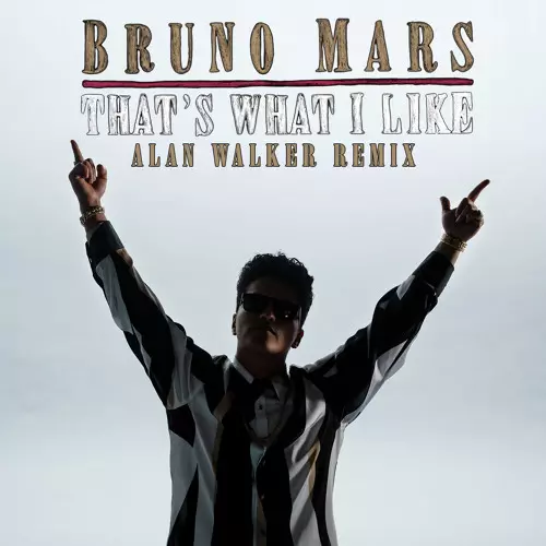Bruno Mars – That’s What I Like (Alan Walker Remix)
