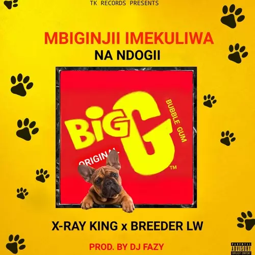 Breeder LW ft. X Ray King – Mbiginjii Imekulwa Na Ndogii