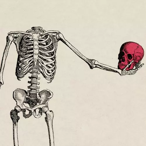 Imagine Dragons – Bones