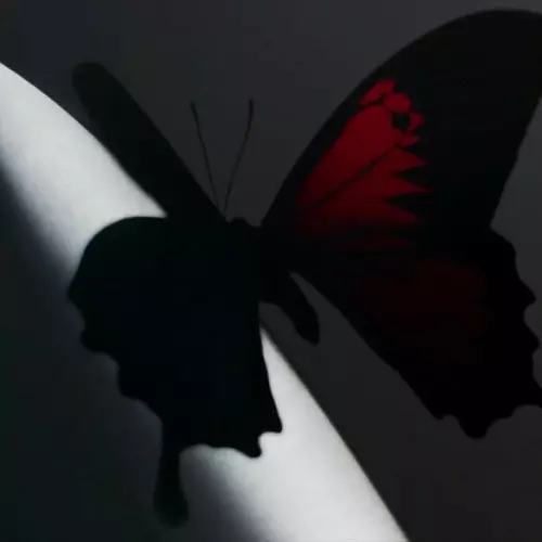 Post Malone ft. Roddy Ricch – Cooped Up