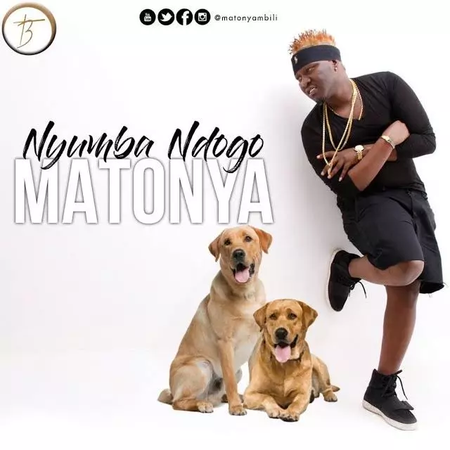 Matonya – Nyumba Ndogo