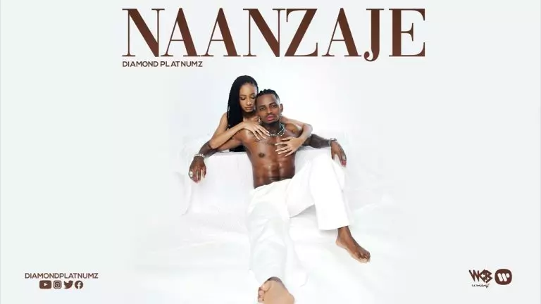 Diamond Platnumz – Naanzaje