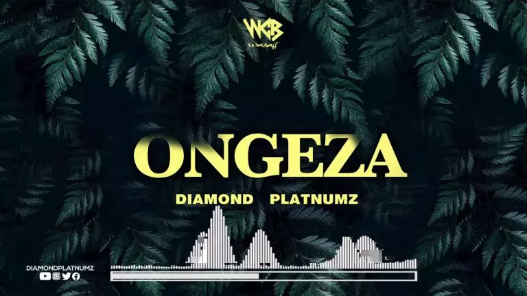 Diamond Platnumz – Ongeza