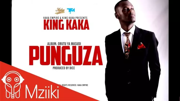 King Kaka – Punguza