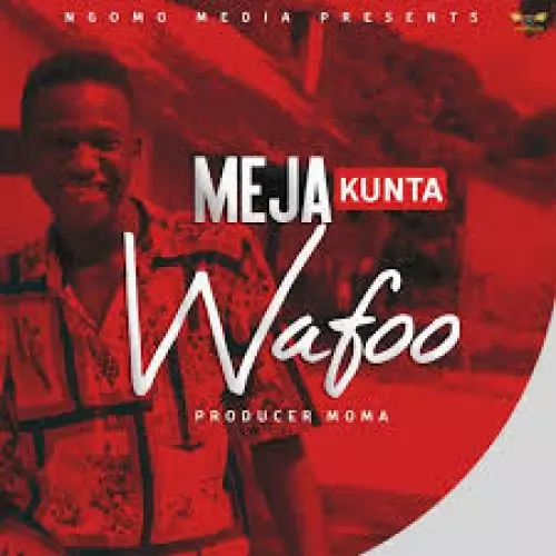 Meja Kunta – Wafoo
