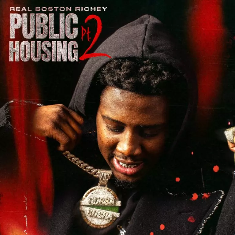 Public Housing, Pt. 2 by Real Boston Richey on Apple Music