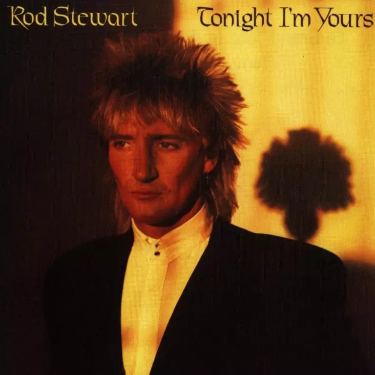 Rod Stewart – Never Give Up On A Dream