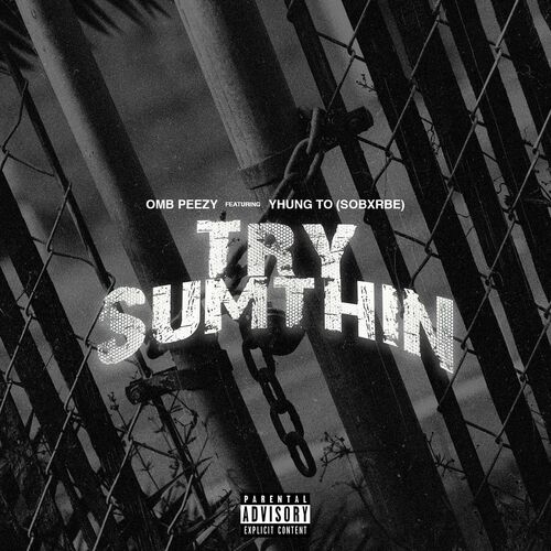 OMB Peezy ft. Yhung T.O. - Try Sumthin
