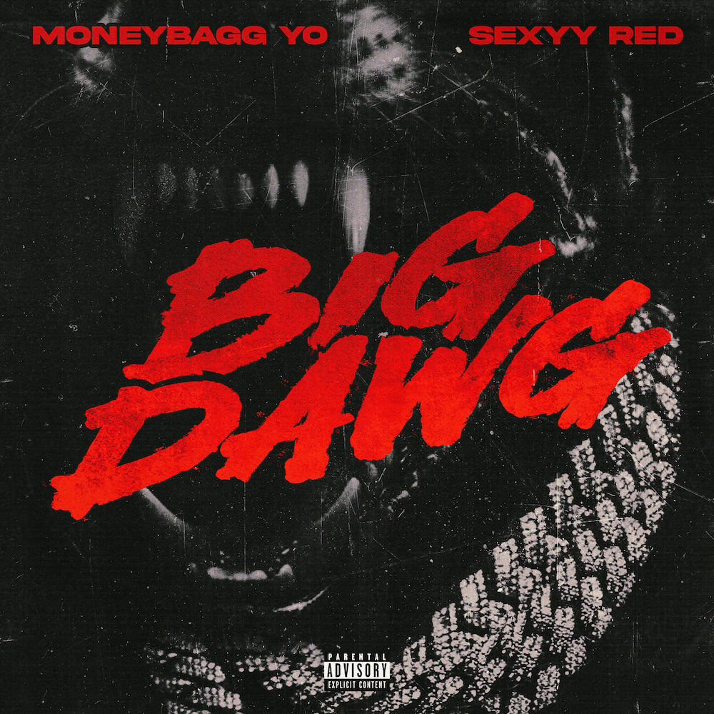 Moneybagg Yo ft. Sexyy Red & CMG The Label - Big Dawg