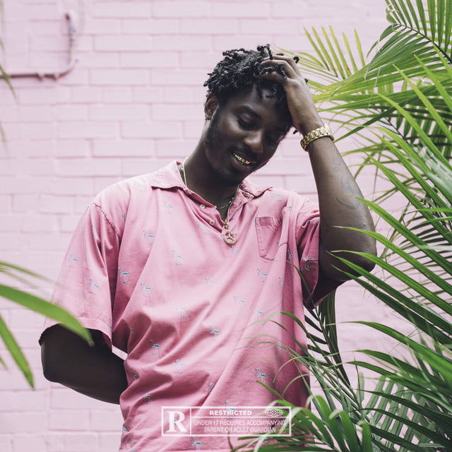 Sean Leon - Tony Flamingo