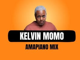 Kelvin Momo Mixtape 2023 (Amapiano DJ Mix Songs)