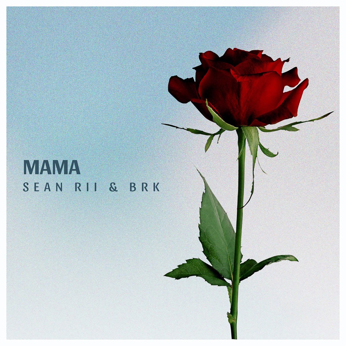 Sean Rii ft. BRK - Mama