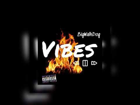 BigWalkDog - Vibes