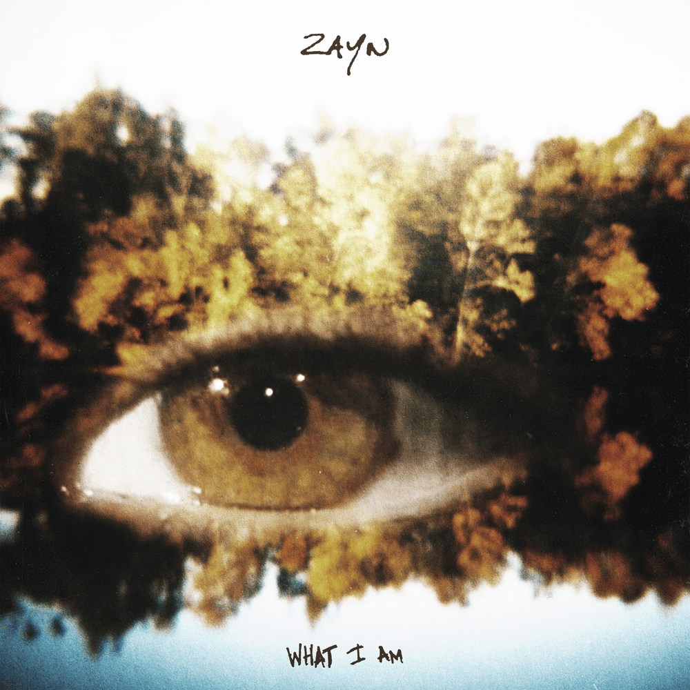 Zayn Malik - What I Am