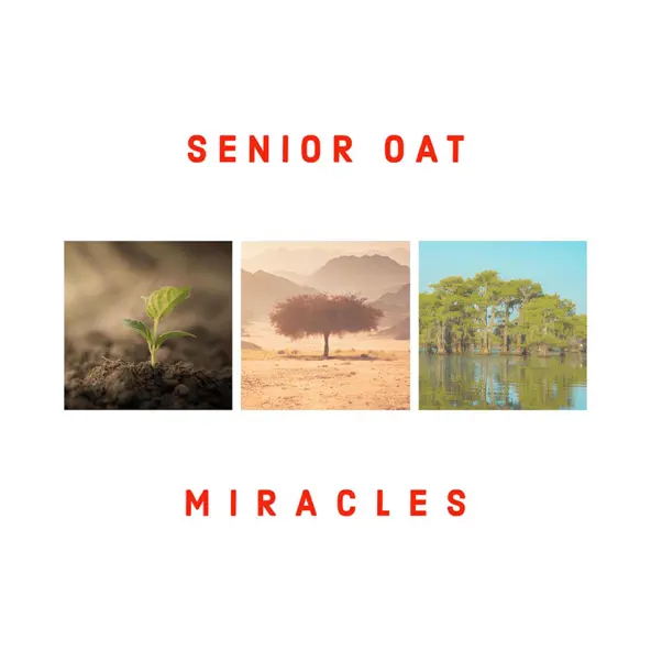 Senior Oat ft. Jay Sax – Faithful Melody