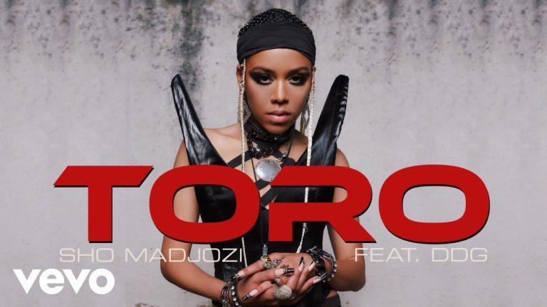 Sho Madjozi ft. DDG - Toro