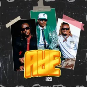 B2c – Aye
