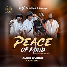 Cata Vybz & Lau Wyne - Peace Of Mind