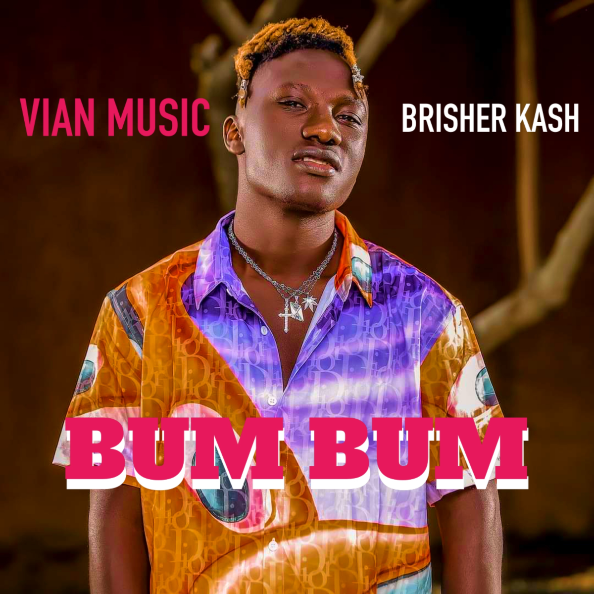 Vian Music ft. Brisher Kash - Bum Bum