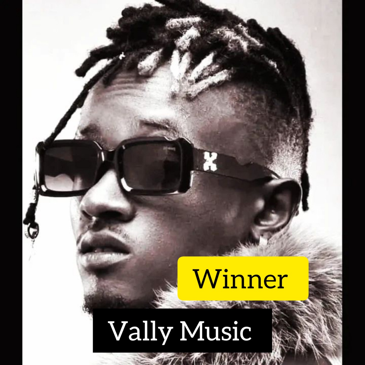 Vally Music - Winner