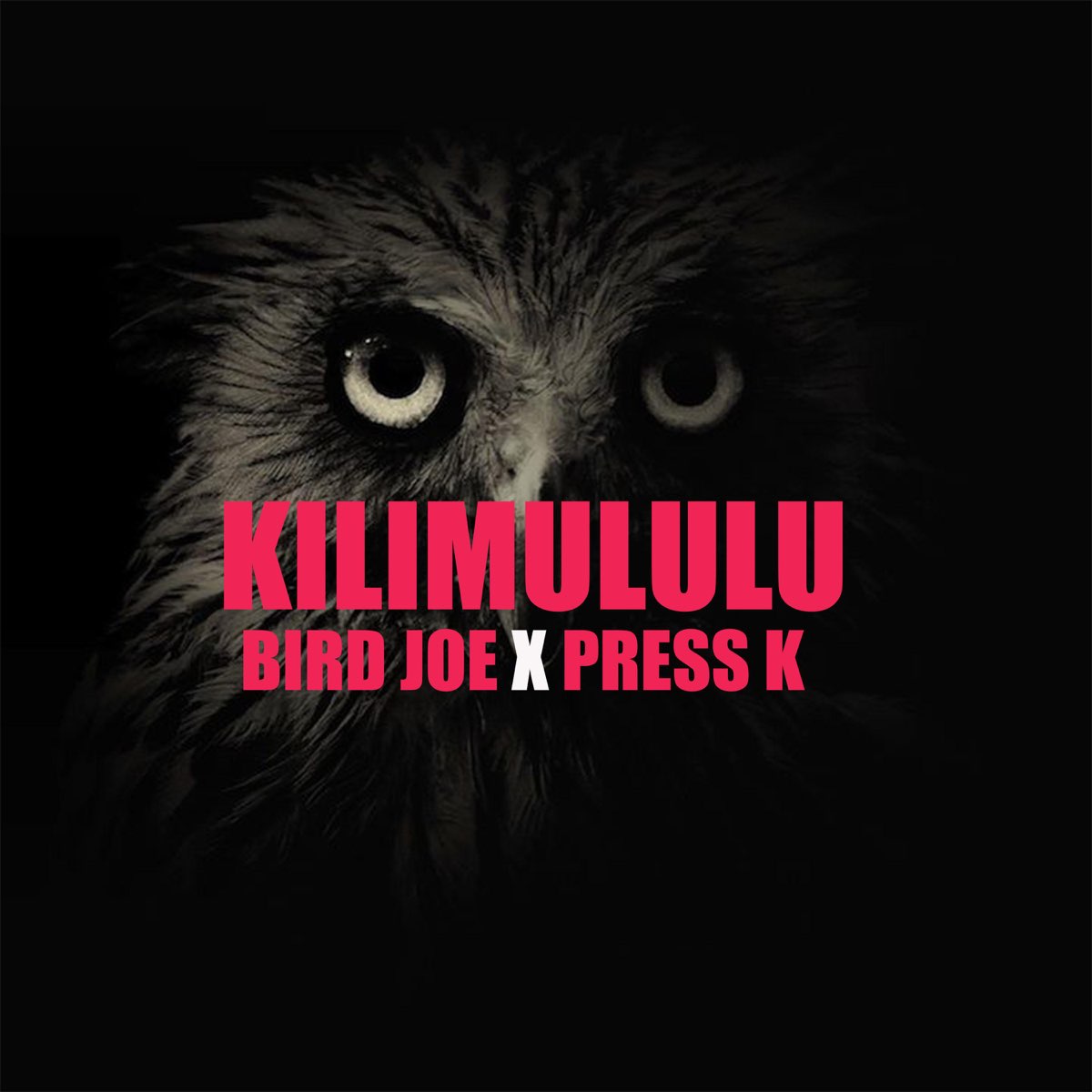 Bird Joe ft. Press K - Kilimululu