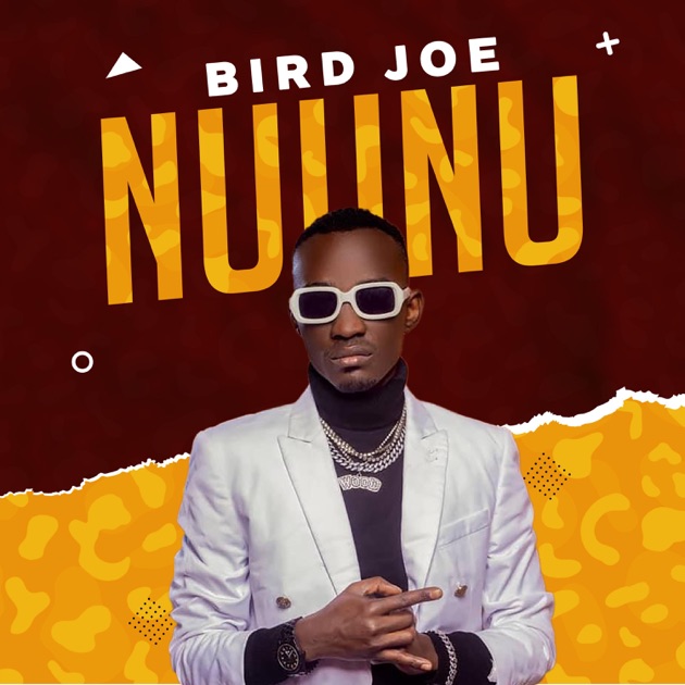 Bird Joe - Nuunu (Instrumental)