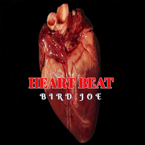 Bird Joe - Heart Beat