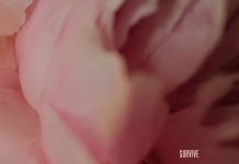 Lewis Capaldi – Survive