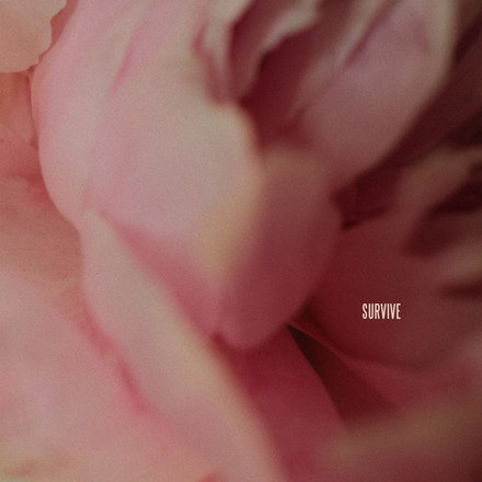 Lewis Capaldi – Survive