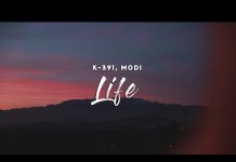 K-391 Ft. Modi – Life