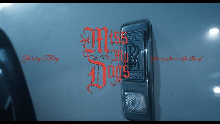 Young Thug – Miss My Dogs