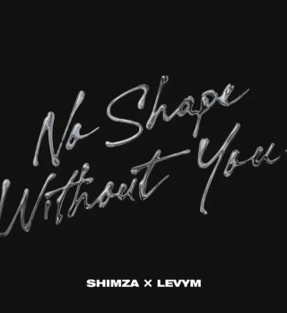 Shimza Ft. LevyM – No Shape Without You