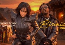 Veronica Adane Ft Rayvanny – Bironica