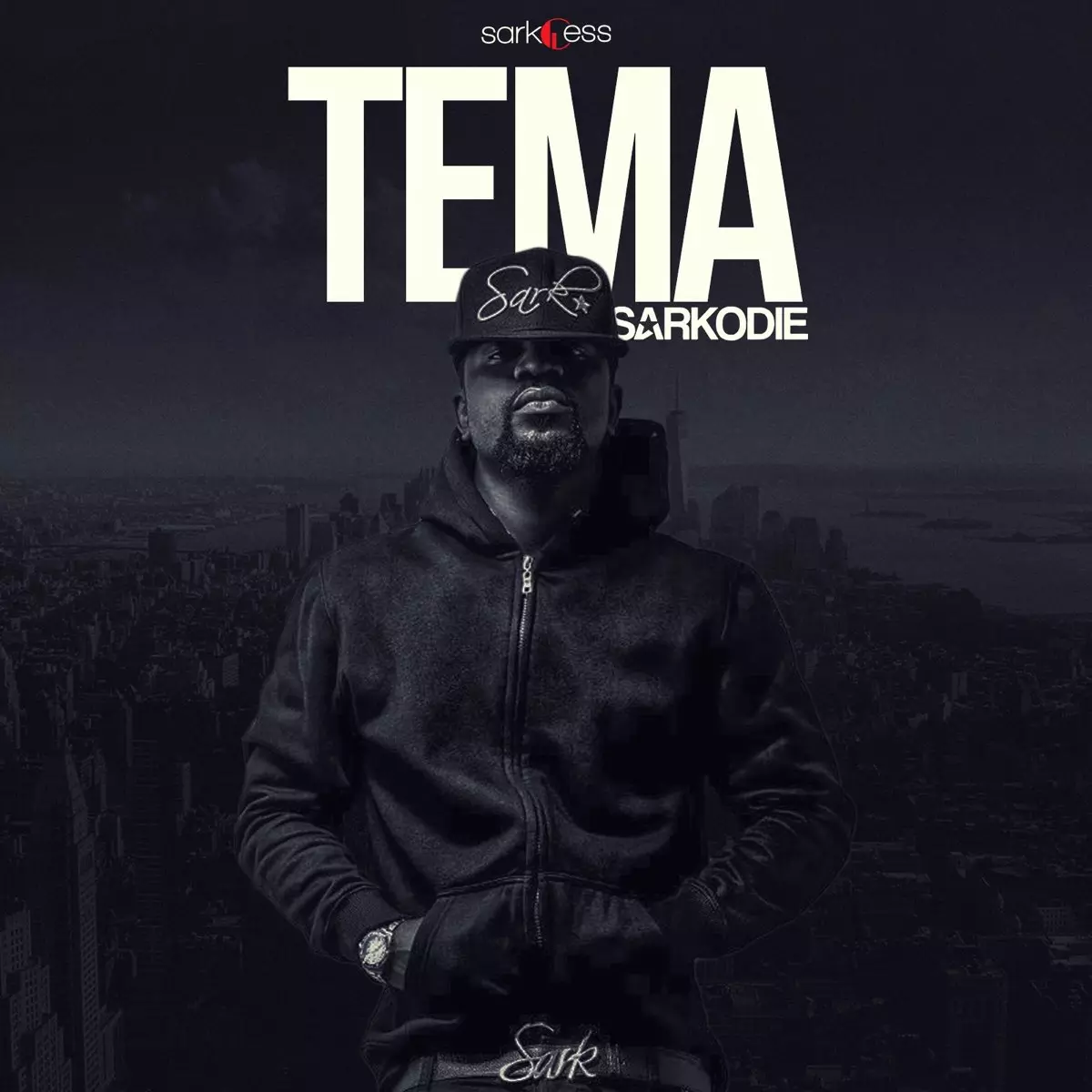 Tema - Single by Sarkodie on Apple Music