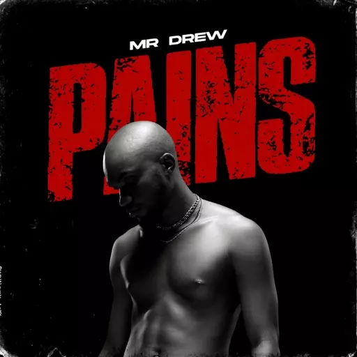 Mr. Drew - Pains | DCLeakers.com