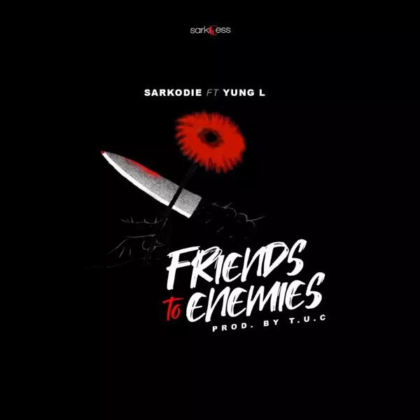 Friends to Enemies (feat. Yung L) - Single by Sarkodie on Apple Music