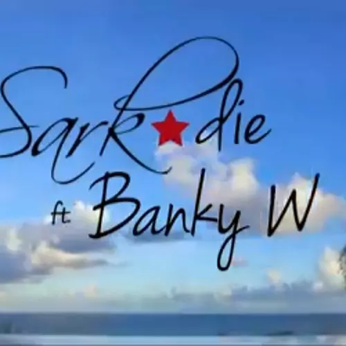 Pon Di Ting (Ft Banky W) by Sarkodie - AfroCharts