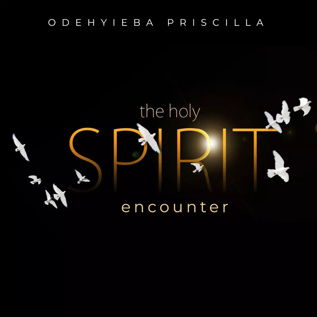 The Holy Spirit Encounter (Live) - EP by Odehyieba Priscilla on Apple Music