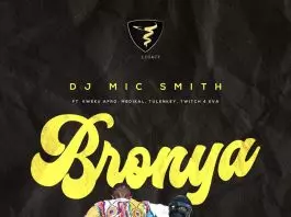 Bronya (Christmas) [feat. Kweku Afro, Medikal, Twitch 4 Eva & Tulenkey] -  Single by DJ Mic Smith on Apple Music