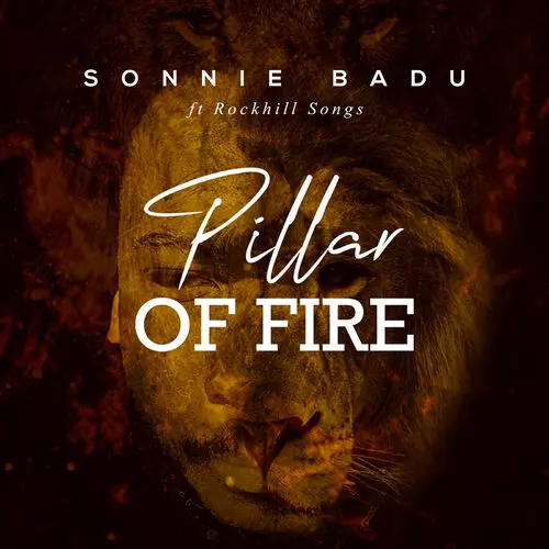 Sonnie Badu - Pillar of Fire: listen with lyrics | Deezer