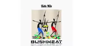 Shatta Wale – Bushmeat