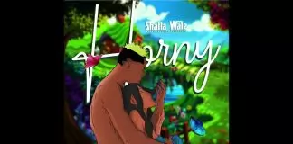 Shatta Wale – Horny